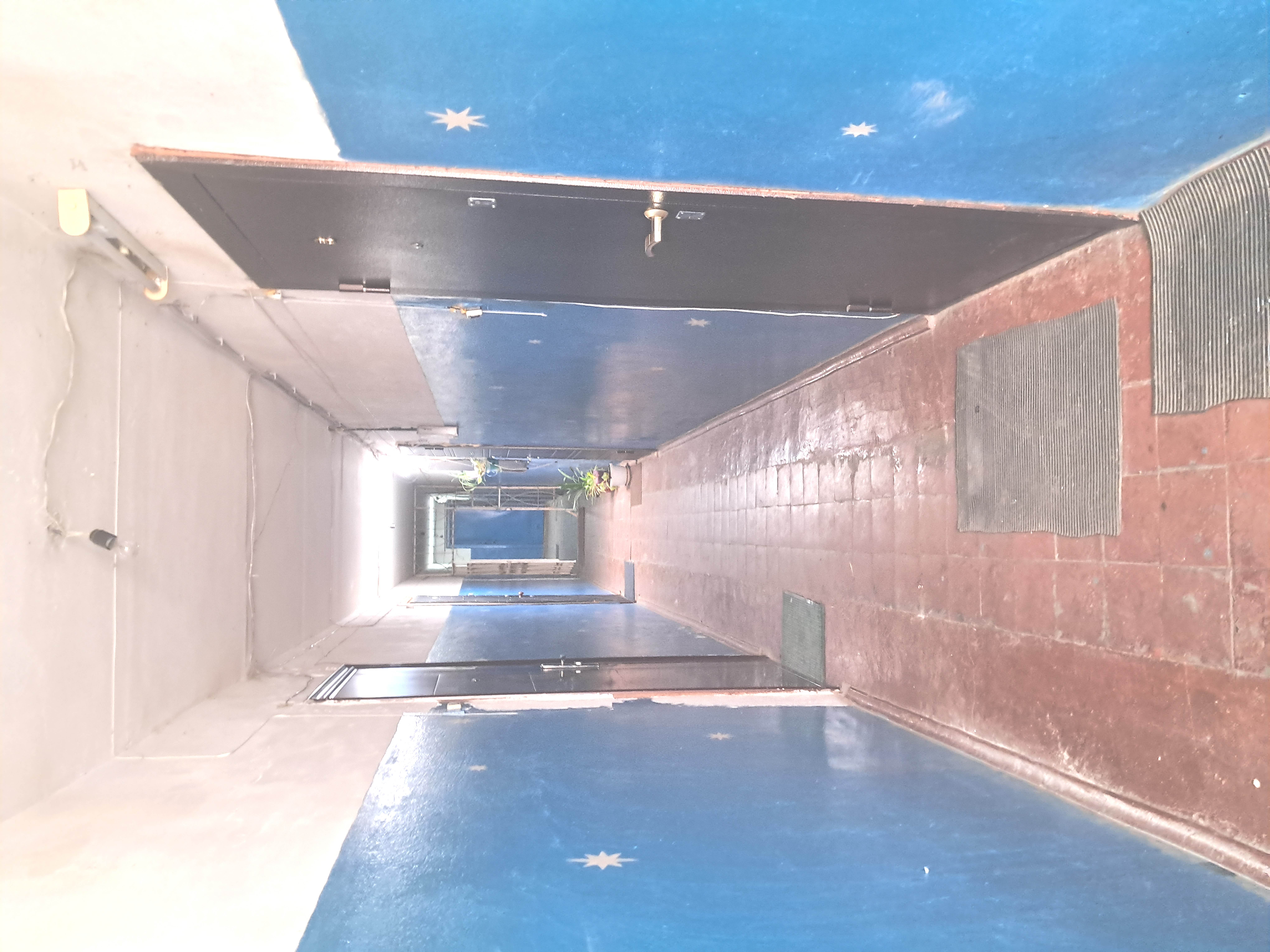 Миниатюра 13