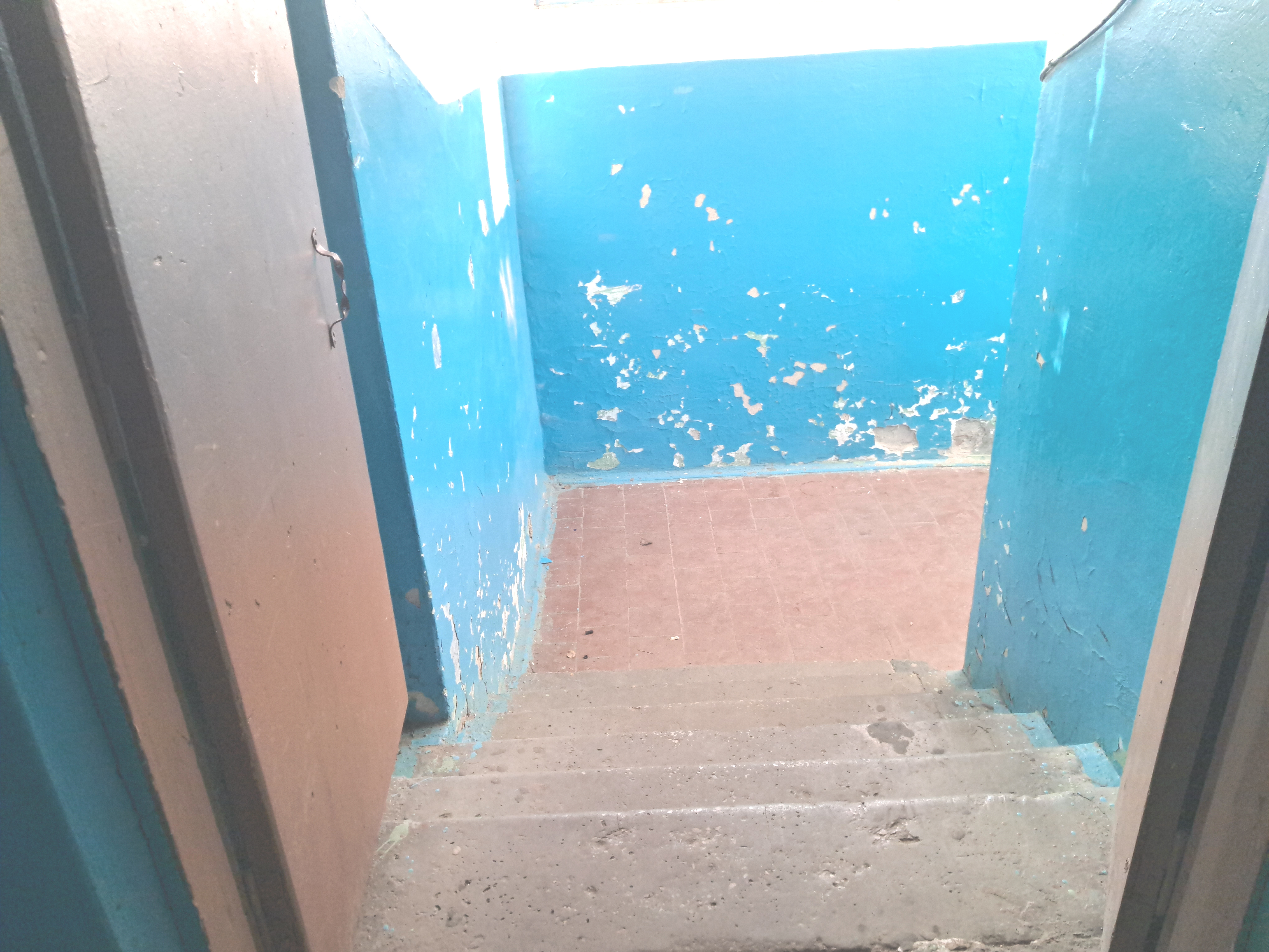 Миниатюра 14