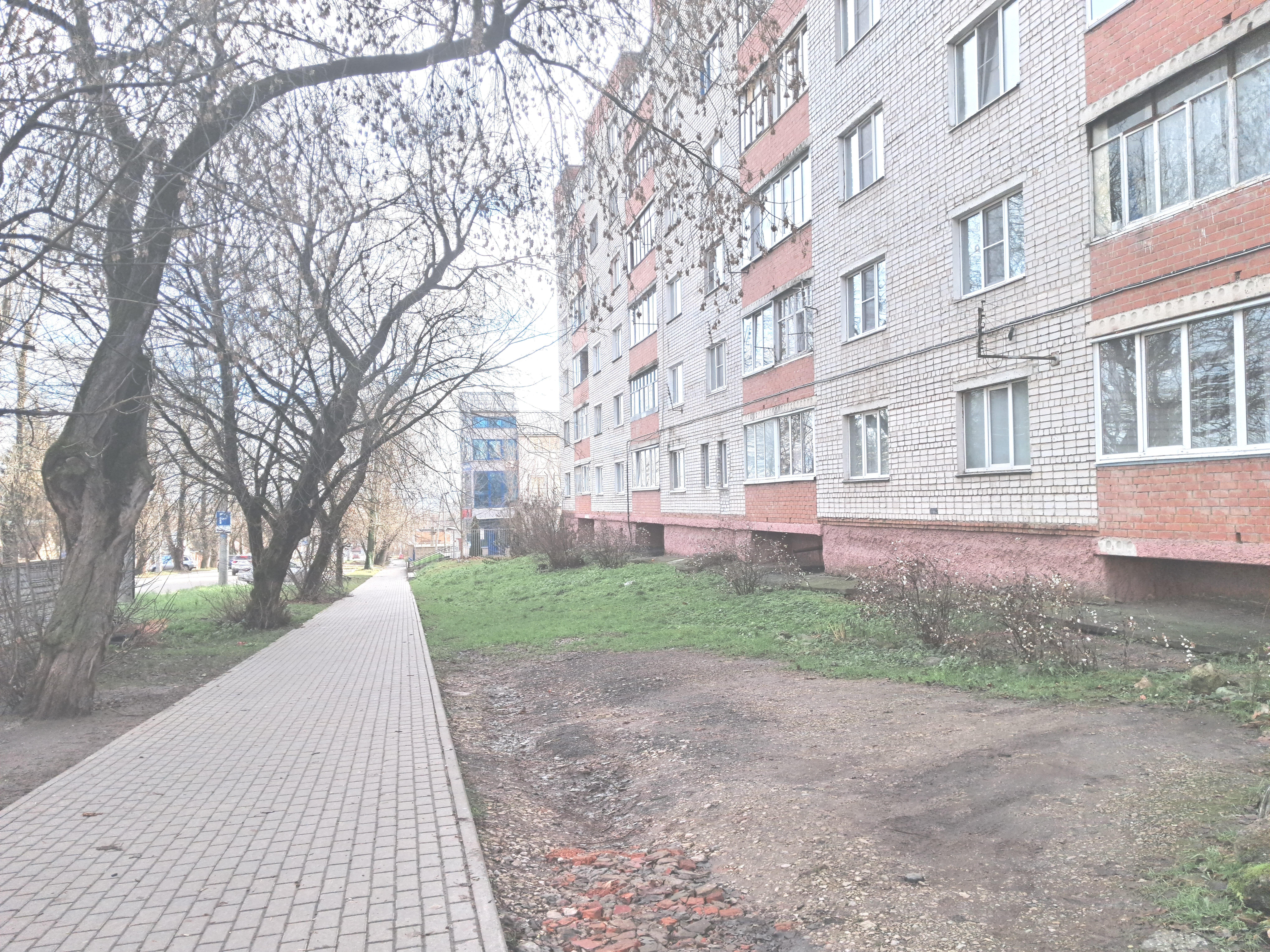 Миниатюра 19