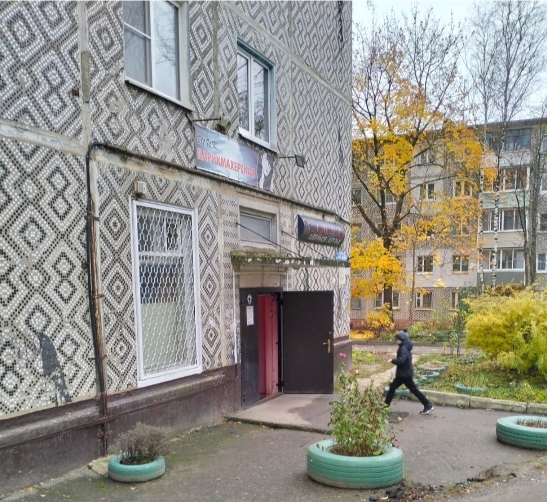 Миниатюра 8