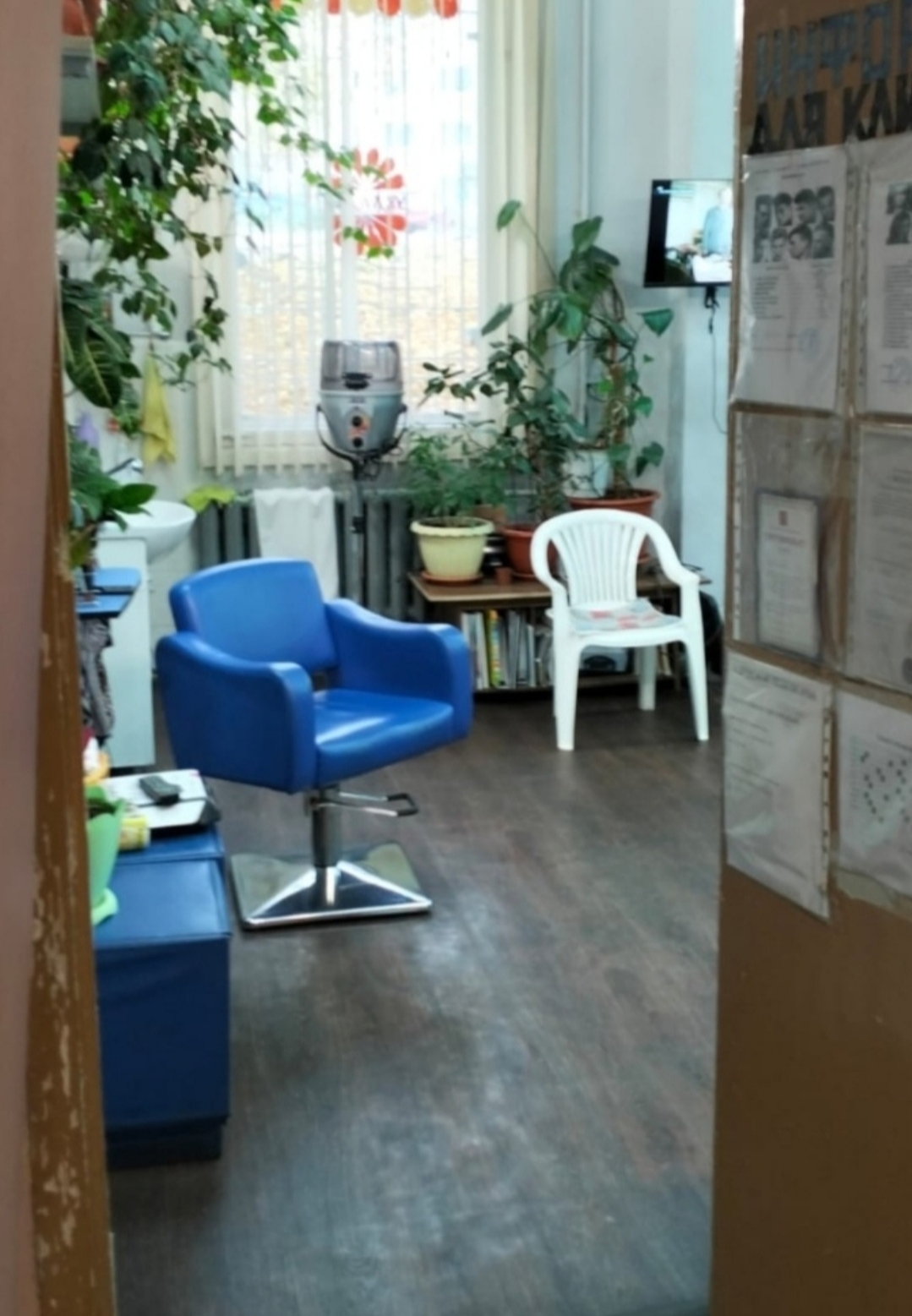 Миниатюра 6