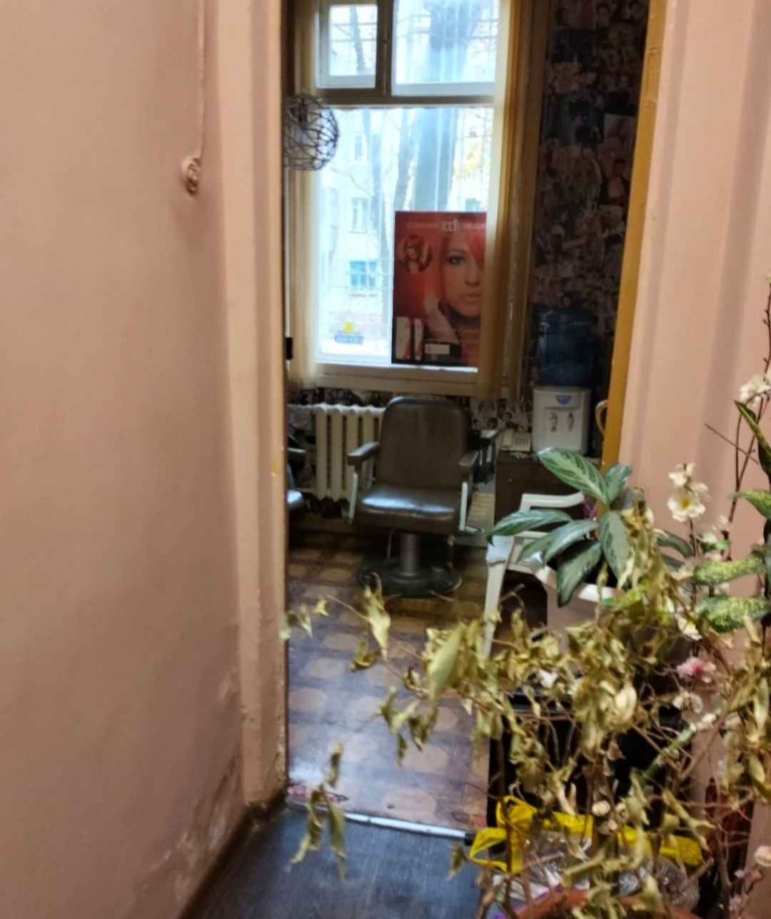 Миниатюра 4