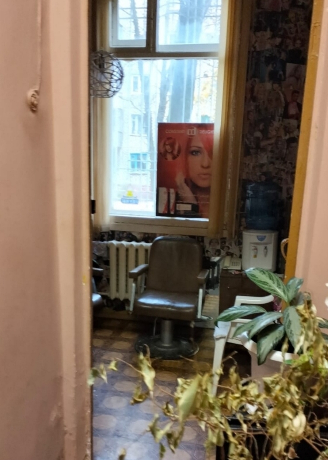 Миниатюра 7