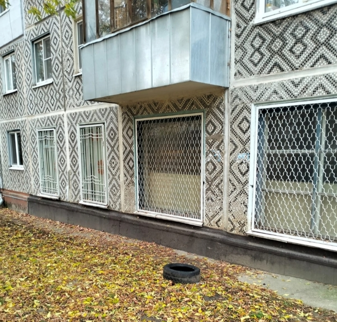 Миниатюра 2