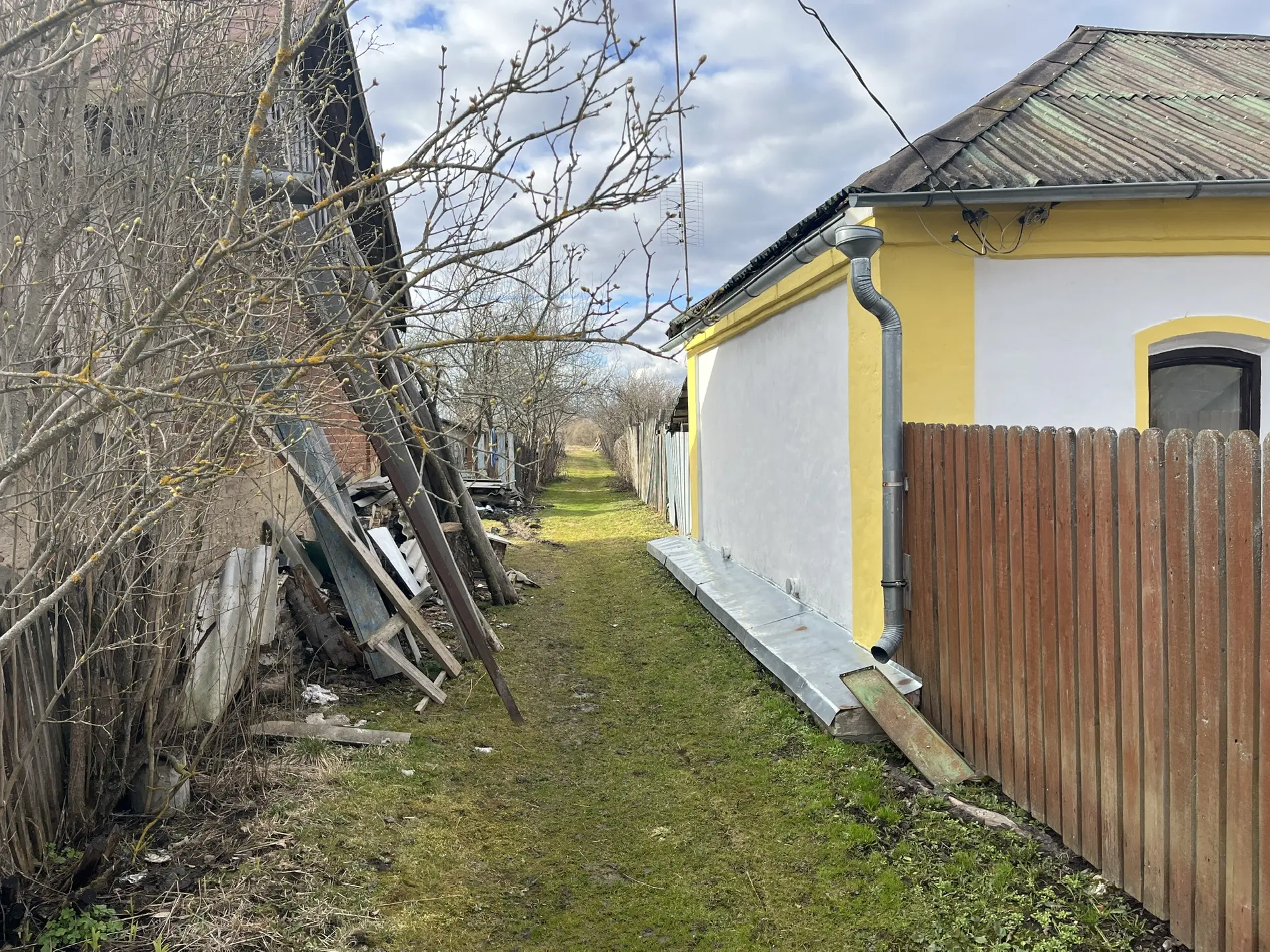 Миниатюра 4