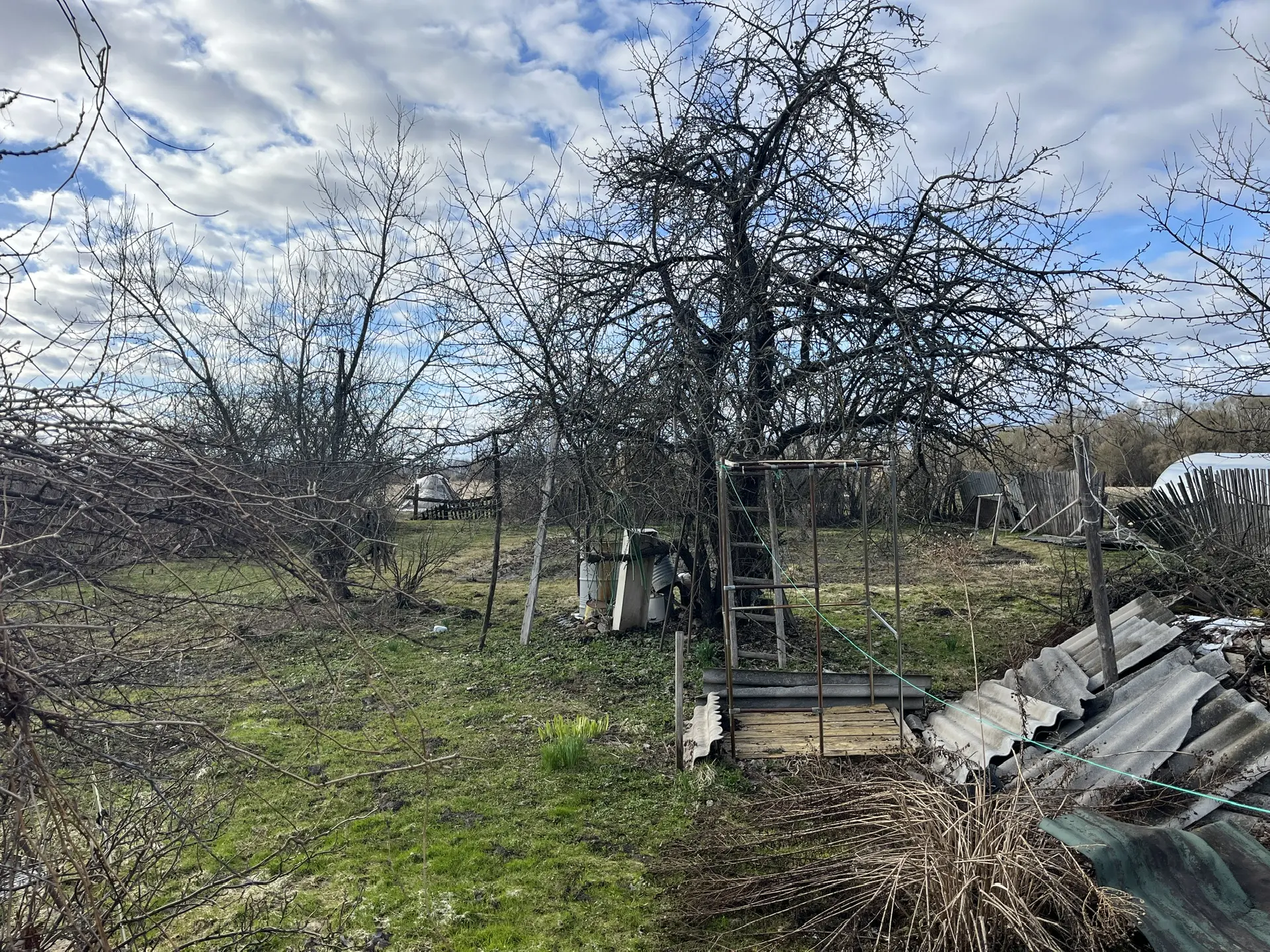 Миниатюра 12