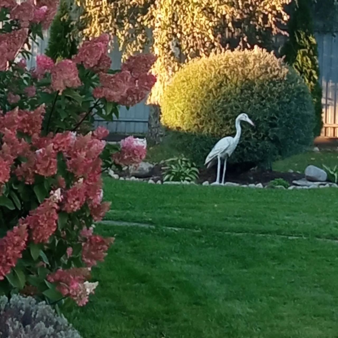 Дом 109 кв. м. на участке 13 сот.