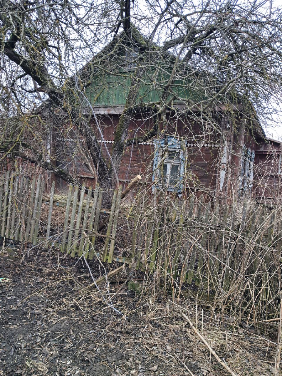 Миниатюра 3