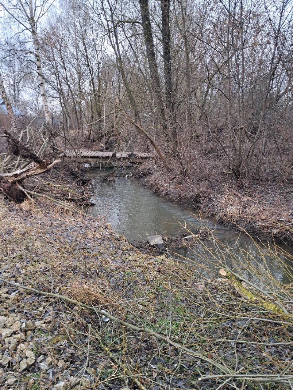 Миниатюра 11