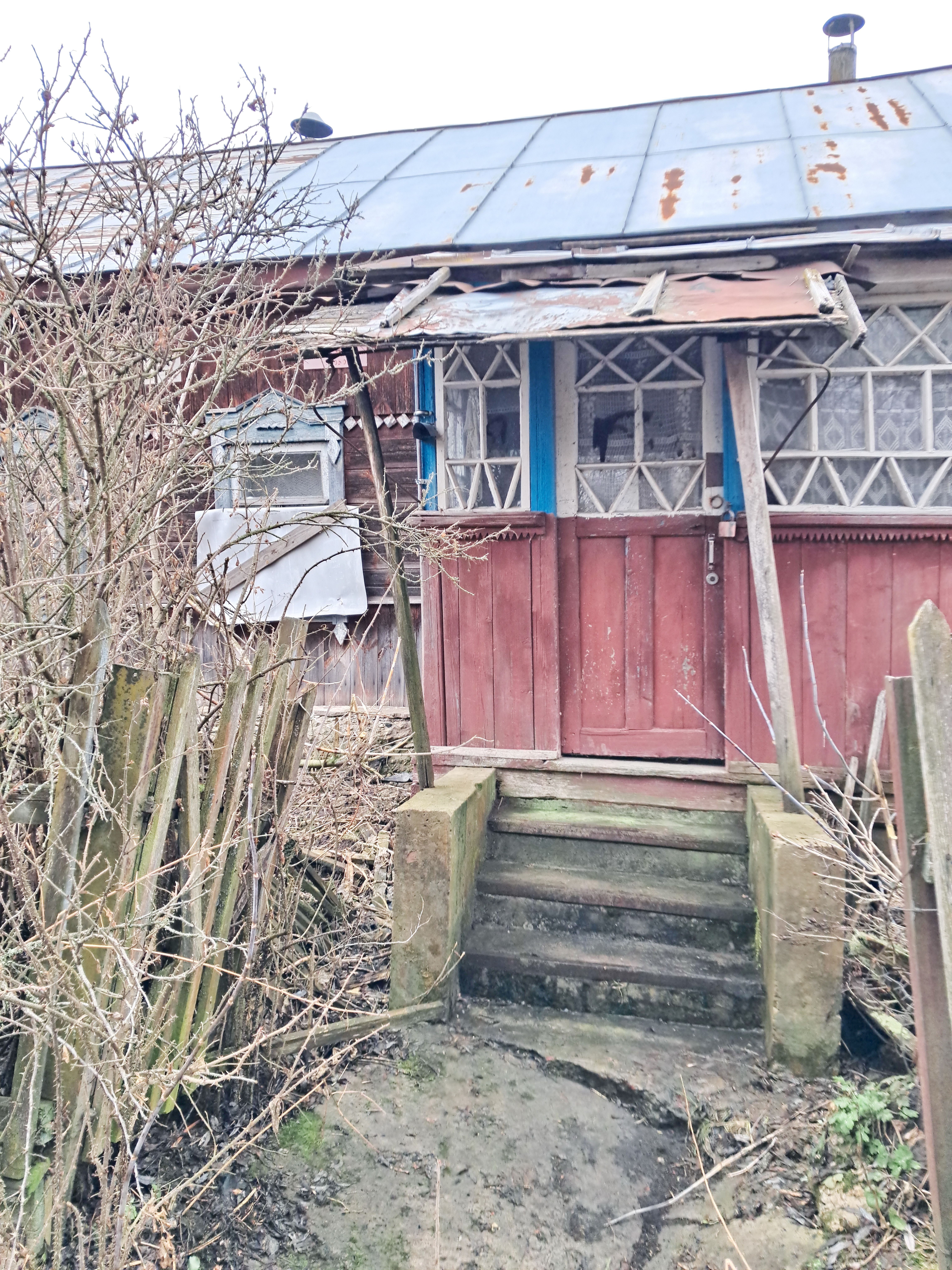 Миниатюра 12